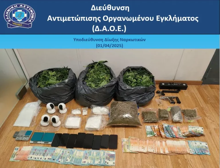 Εξαρθρώθηκε εγκληματική οργάνωση που καλλιεργούσε κάνναβη και διακινούσε ναρκωτικά – Επτά συλλήψεις σε Αττική και Κρήτη (βίντεο)