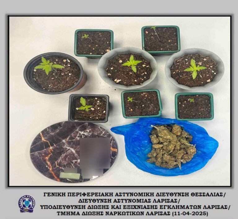 Λάρισα: Συνελήφθη για καλλιέργεια δενδρυλλίων κάνναβης