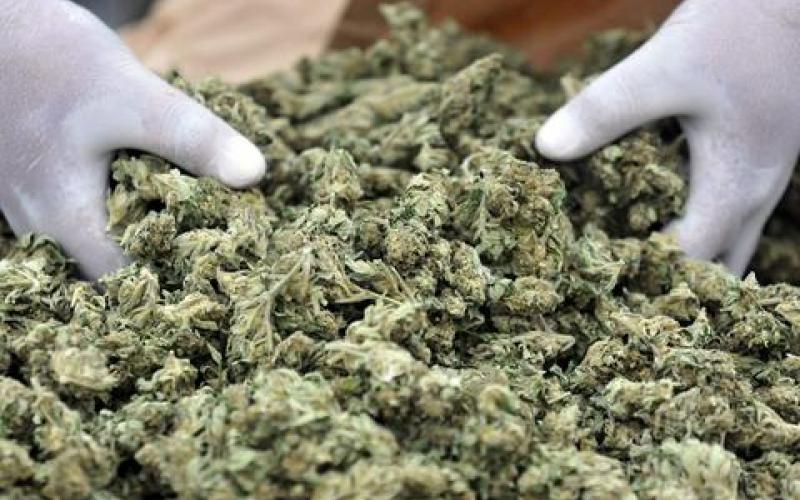 Χανιά: “Μίνι-γιάφκα” με ποσότητες κοκαΐνης και κάνναβης σε δύο σπίτια – Χειροπέδες σε 22χρονο και 45χρονο