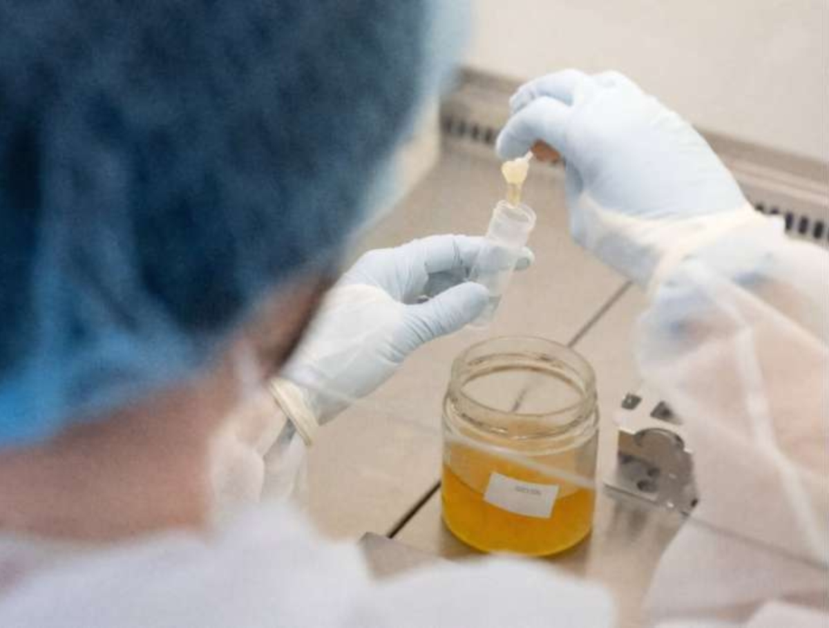 Ανάλυση DNA: Το νέο εργαλείο στην καταπολέμηση της νοθείας στο μέλι