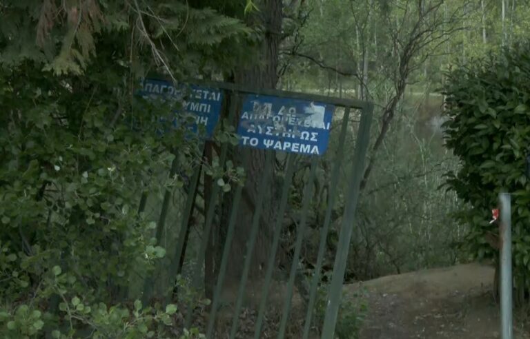 Θεσσαλονίκη: Σιδερένια πόρτα καταπλάκωσε μικρό παιδί την ώρα που έπαιζε – Είναι εκτός κινδύνου
