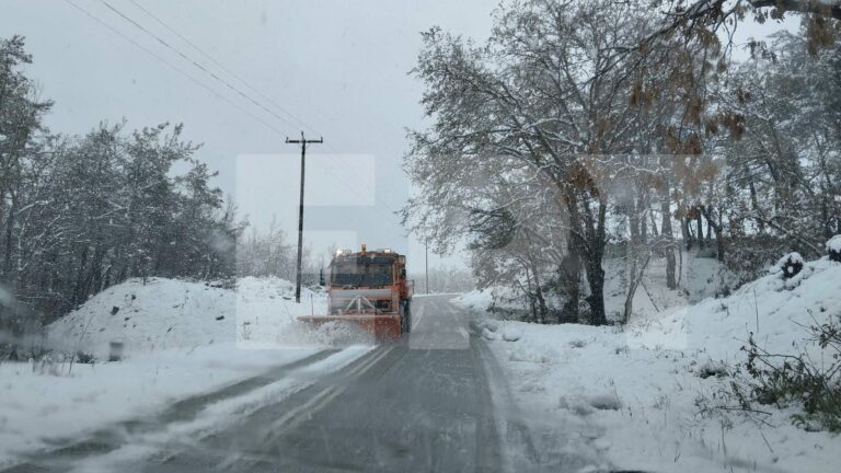 Ορεστιάδα: Άσπρισε ο Ν. Έβρου – Χιόνια και στα πεδινά (Βίντεο)