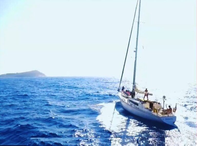 Η «Γυναικεία Οδύσσεια» σαλπάρει για την προστασία της θαλάσσιας ζωής