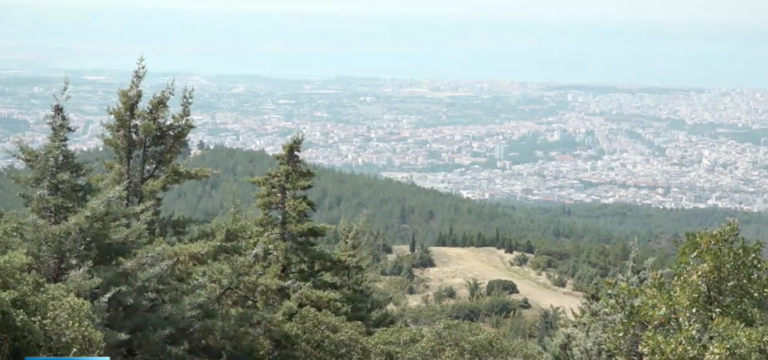 Θεσσαλονίκη: Εσπερίδα για το Περιαστικό δάσος του Σέιχ Σου-Προοπτικές για αθλητικές δραστηριότητες, αναψυχή