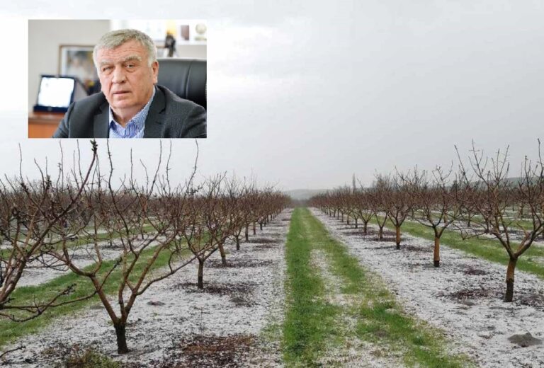 Δήμαρχος Κιλελέρ: “Το χαλάζι θα μειώσει κατακόρυφα την παραγωγή – Σε επαφή με τις αρμόδιες υπηρεσίες”