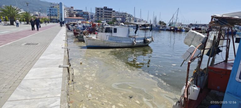 Βόλος: Κρίσιμη σύσκεψη για τα πλημμυρικά απορρίμματα στον βυθό του Παγασητικού