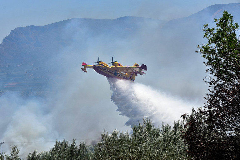 Βροχές στην αρχή του φετινού καλοκαιριού αναμένεται να κρατήσουν την υγρασία στα δάση– Προετοιμασία για την αντιπυρική περίοδο