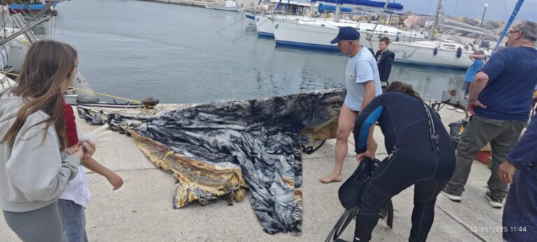 Ν. Πήλιο – Μηλίνα: Μαθητές, εθελοντές και Τοπική Αυτοδιοίκηση δούλεψαν από κοινού για καθαρές ακτές (βίντεο)