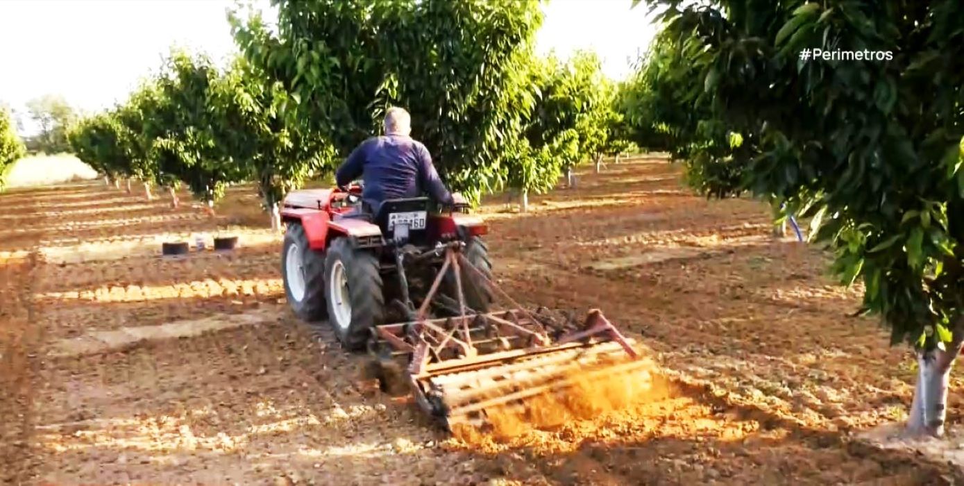 Στα κερασοχώρια της Ροδόπης