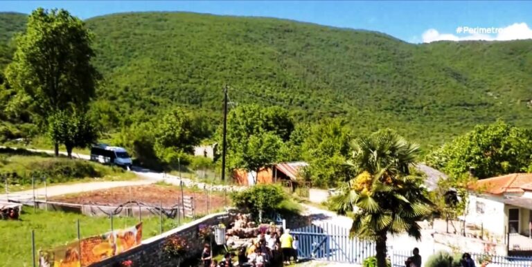 20η Μαΐου- παγκόσμια ημέρα μέλισσας 
