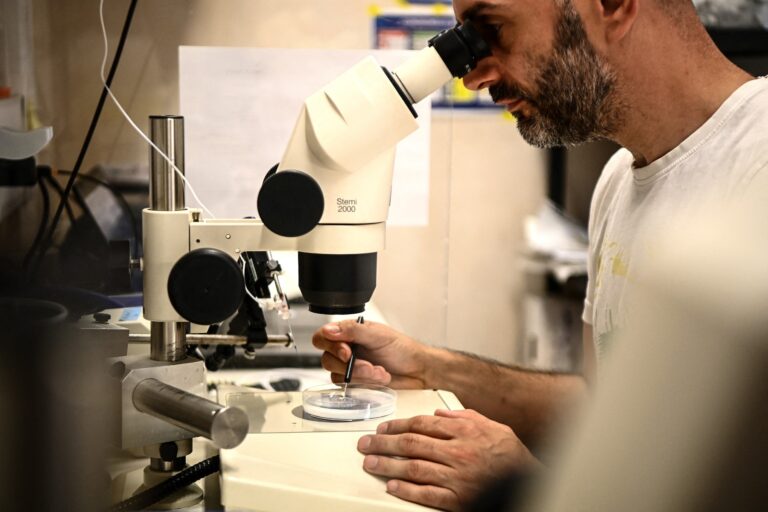 Αμερικανοί επιστήμονες σκέφτονται να μεταναστεύσουν: Η Ευρώπη ανοίγει την αγκαλιά της