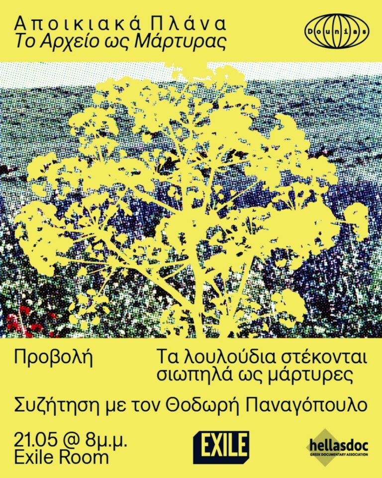 The Flowers Stand Silently, Witnessing στις 21/5 στο Exile Room με το Θοδωρή Παναγόπουλο