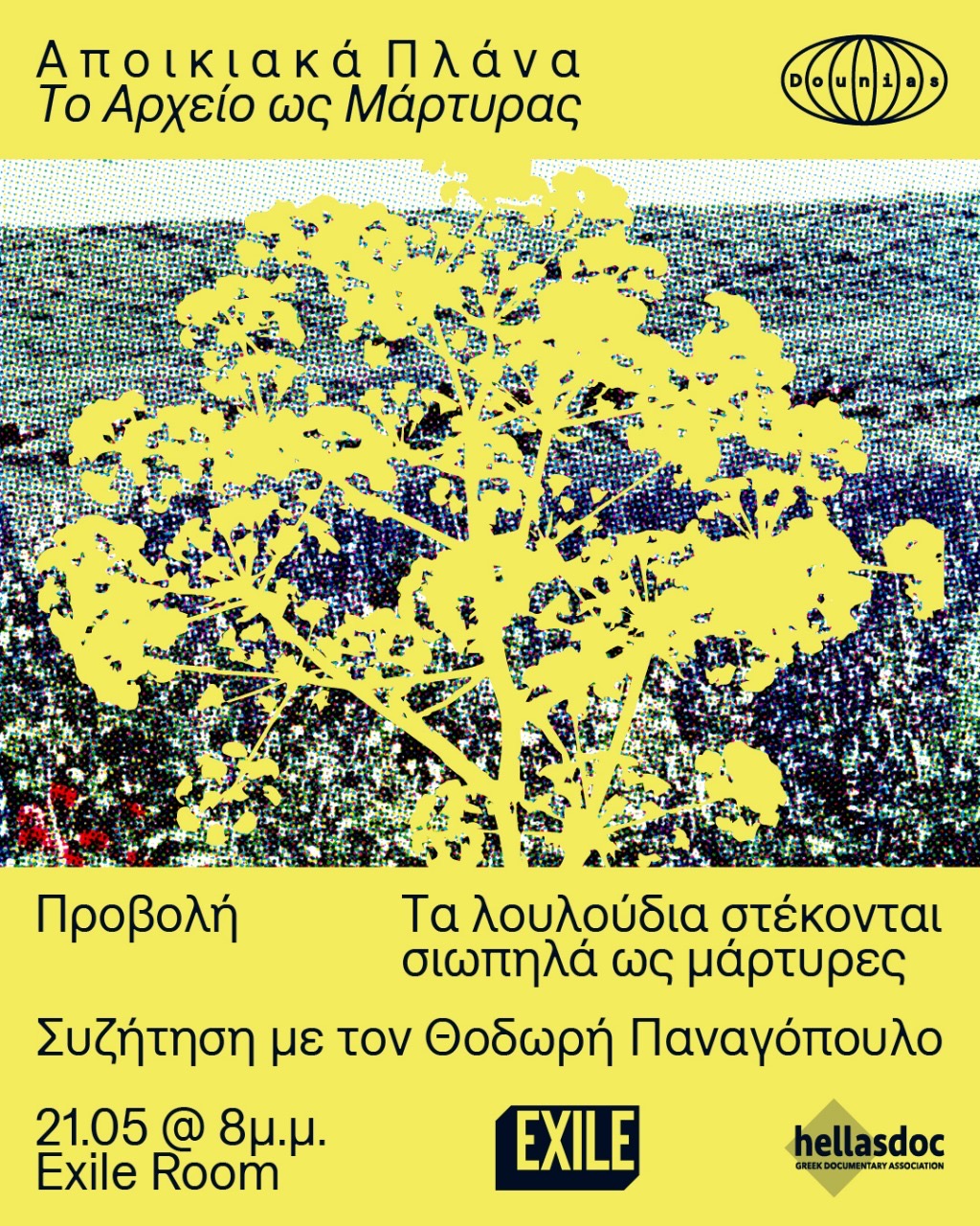 The Flowers Stand Silently, Witnessing στις 21/5 στο Exile Room με το Θοδωρή Παναγόπουλο