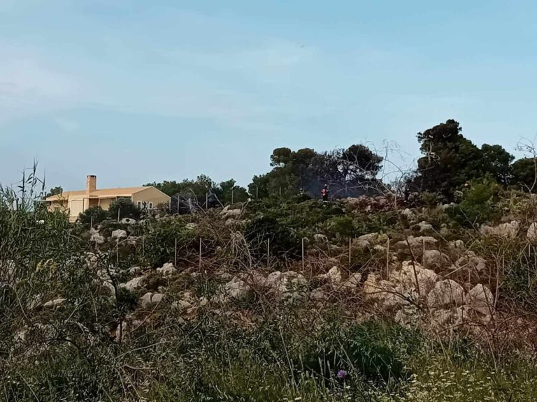 Πυρκαγιά στον Καλαθά Χανίων – Οριοθετήθηκε πριν απειλήσει σπίτια (βίντεο)