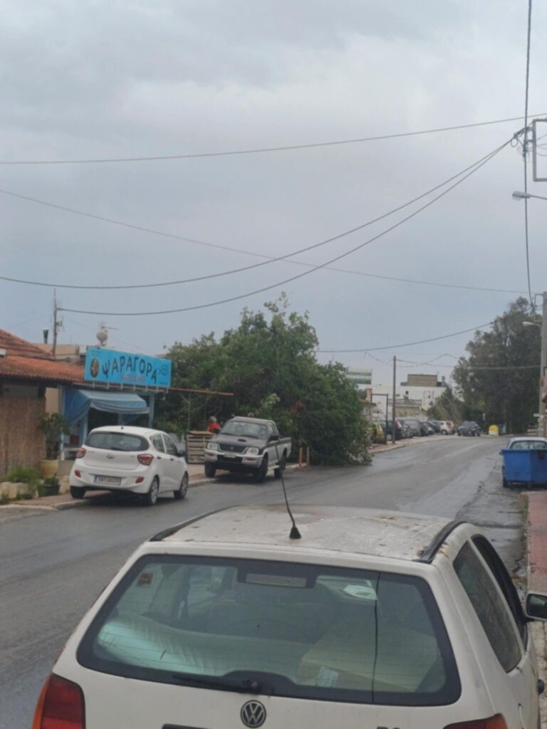 Σάρωσαν οι νοτιάδες την Κρήτη – Πτήσεις ακυρώθηκαν, δέντρα και στύλοι κατέρρευσαν - Σκηνές χάους από στεριά ώς αέρα 4 Ακυρώσεις πτήσεων, πτώσεις δέντρων και διακοπές ρεύματος λόγω των ισχυρών νοτιάδων στην Κρήτη