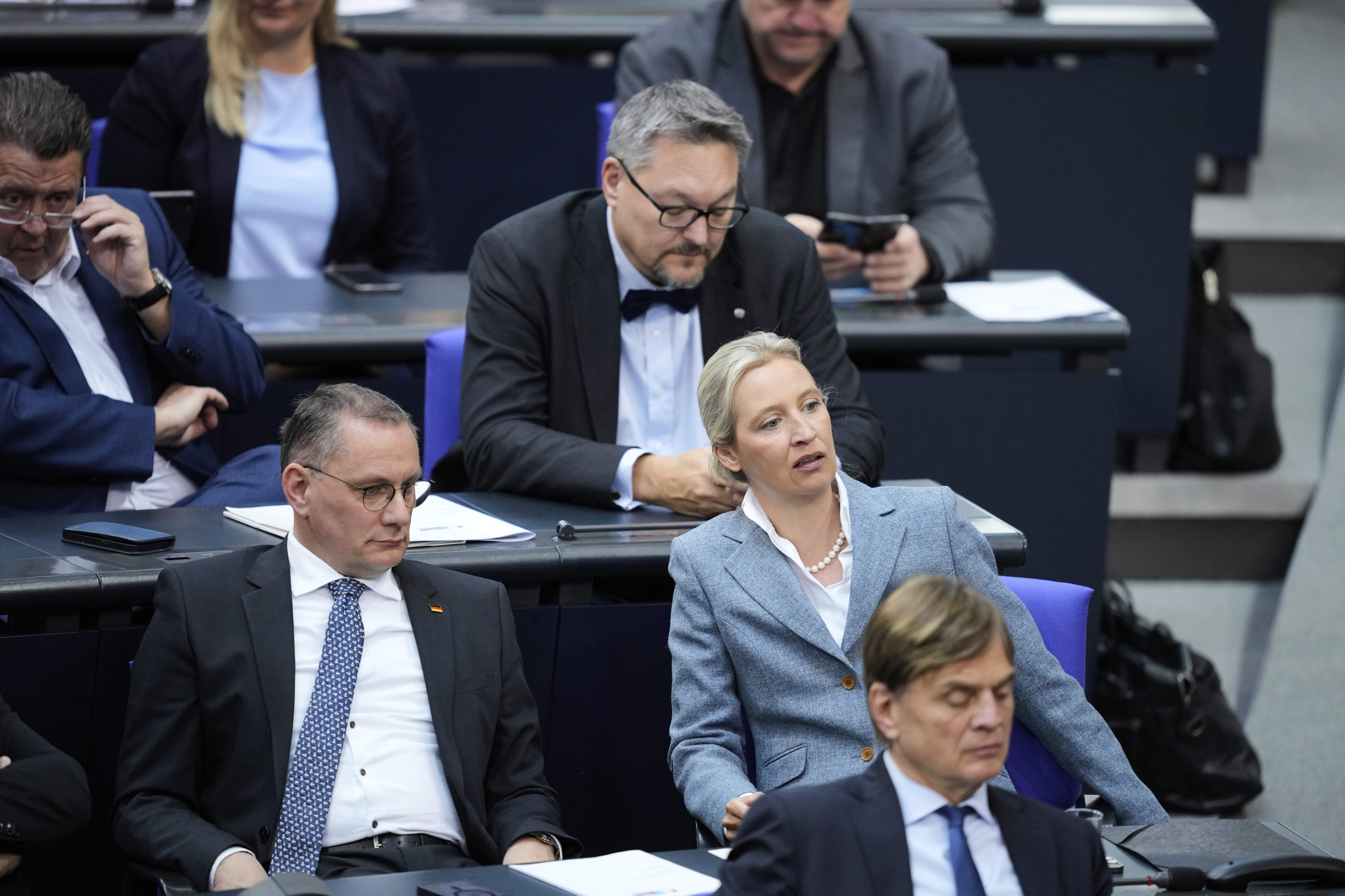 Germany Politics