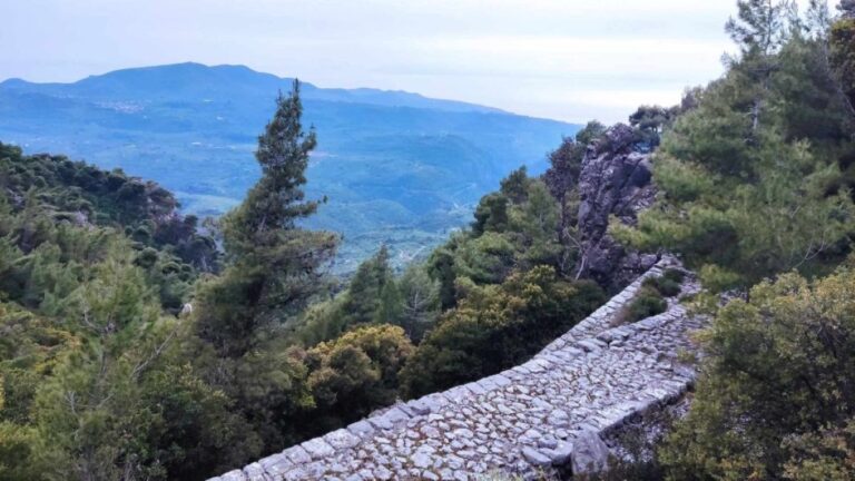 Καθαρισμός καλντεριμιού «Μπίλιοβος» από τον ΕΟΣ Καλαμάτας