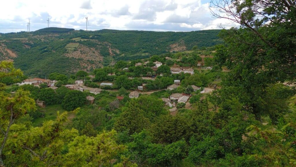 Κινηματογραφική η σύλληψη του Τούρκου κακοποιού – Τον έπιασαν την ώρα που κοιμόταν σε παράπηγμα μέσα στο δάσος