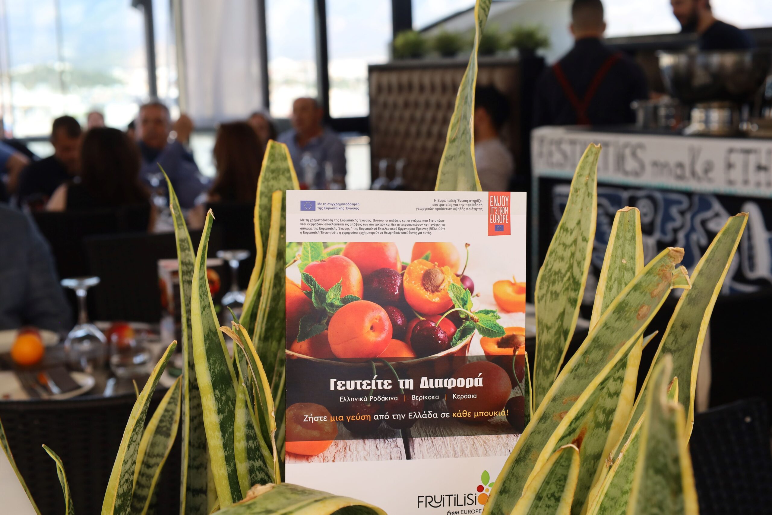 Fruitilisious from Europe: Στα ευρωπαϊκά τραπέζια τα προϊόντα του Αγροτικού Συνεταιρισμού Πέλλας