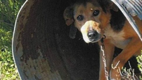 Πλούσιος ο απολογισμός του πρώτου χρόνου θητείας της νέας διοίκησης του Ε.Β.Ε. Ροδόπης