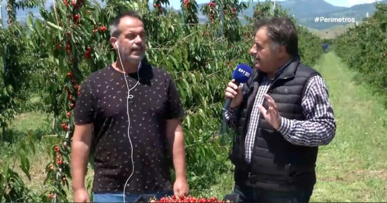 Γάζωρος Σερρών: Ακριβότερα φέτος τα κεράσια λόγω καιρικών συνθηκών