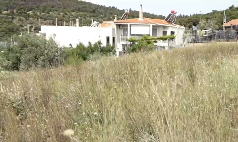 Το EΡΤΝews στα οικόπεδα «χωματερές» – Αποκαρδιωτικές εικόνες με σκουπίδια και ξερόχορτα