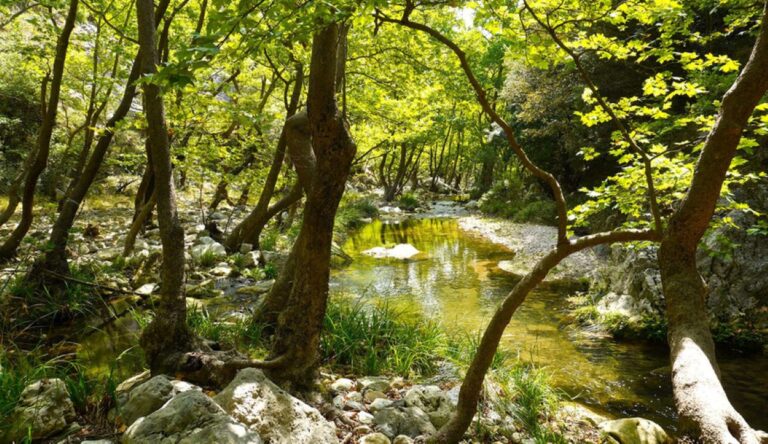 Στα φαράγγια και τους καταρράκτες του Πάρνωνα ο ΣΑΟΟ Τρίπολης