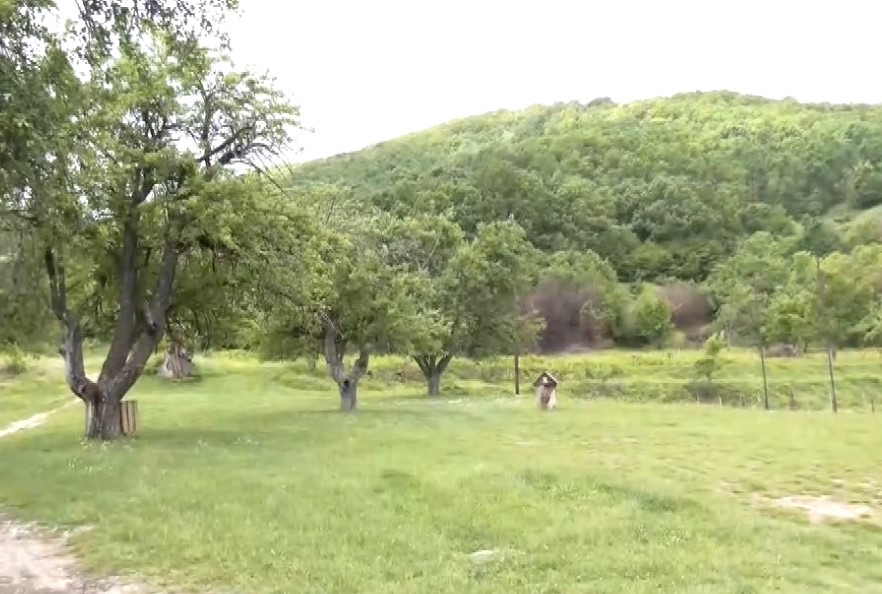 Screenshot_10