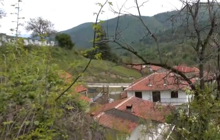 Άλωνα: Αγέλη λύκων σκότωσε ζαρκάδι μέσα στους δρόμους του χωριού