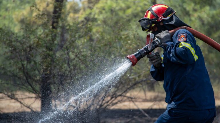 Συσκέψεις της Πολιτικής Προστασίας σε όλη τη χώρα για την αντιπυρική περίοδο – Αν. Μακεδονία και Θράκη, Ιόνιο και Β. Αιγαίο οι τελευταίοι σταθμοί