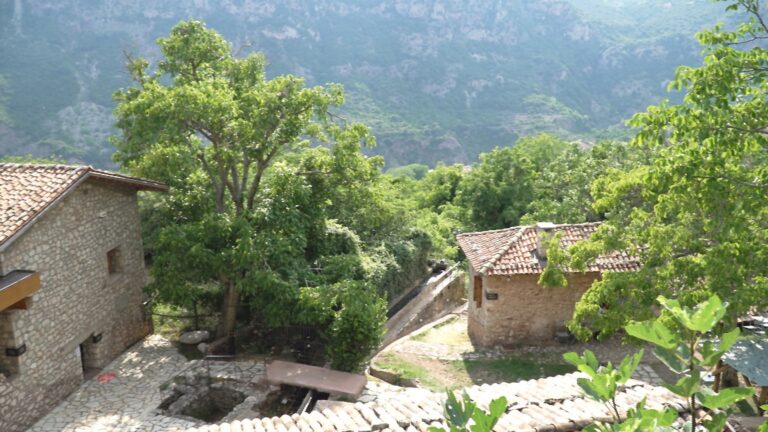 Θερινό σχολείο για την πολιτιστική κληρονομιά του αγροτικού χώρου στη Δημητσάνα Γορτυνίας