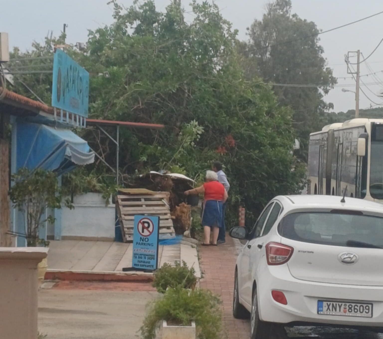 Ακυρώσεις πτήσεων, πτώσεις δέντρων και διακοπές ρεύματος λόγω των ισχυρών νοτιάδων στην Κρήτη