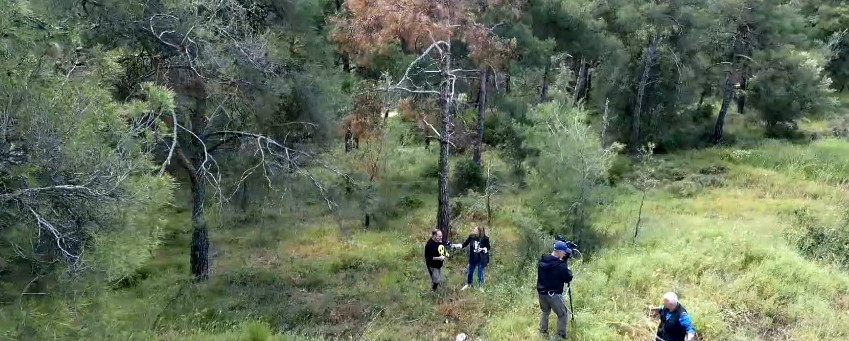 Οι ασθένειες των ελληνικών δασικών οικοσυστημάτων και η αντιμετώπισή τους