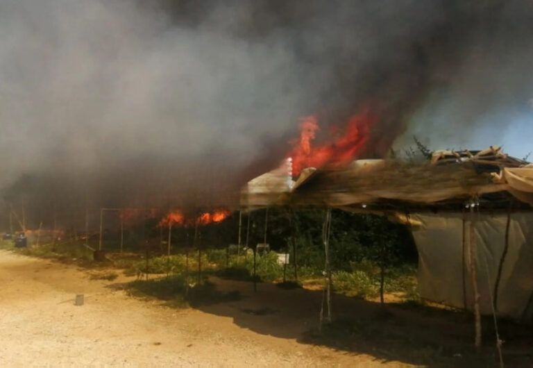 Φωτιά στη Νέα Μανωλάδα κατέστρεψε καταυλισμό αλλοδαπών εργατών γης
