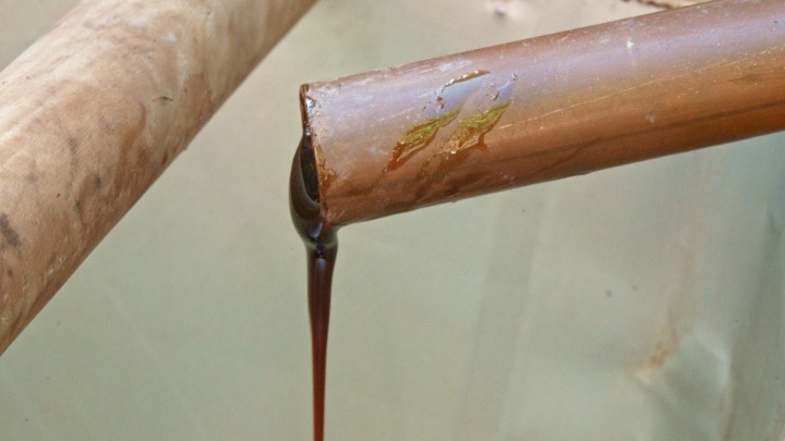 Τέσσερα νέα στοιχεία στο Εθνικό Ευρετήριο Άυλης Πολιτιστικής Κληρονομιάς της Ελλάδας