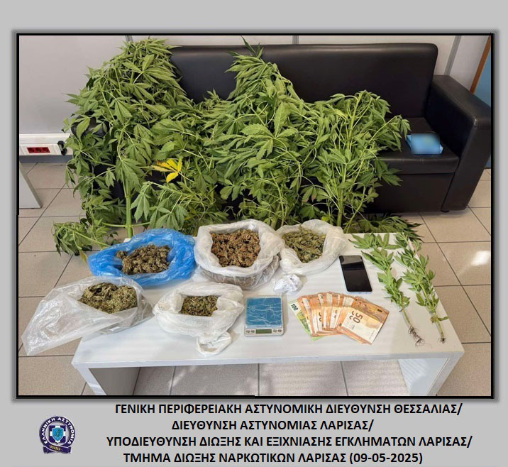 Συνελήφθη στην Λάρισα για καλλιέργεια και διακίνηση κάνναβης