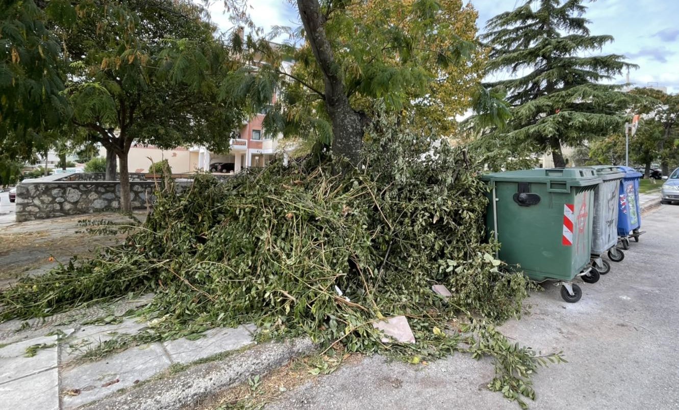 Δωρεάν μεταφορά κλαδιών – Νέο μέτρο για καθαρότερη και πιο βιώσιμη Αλεξανδρούπολη