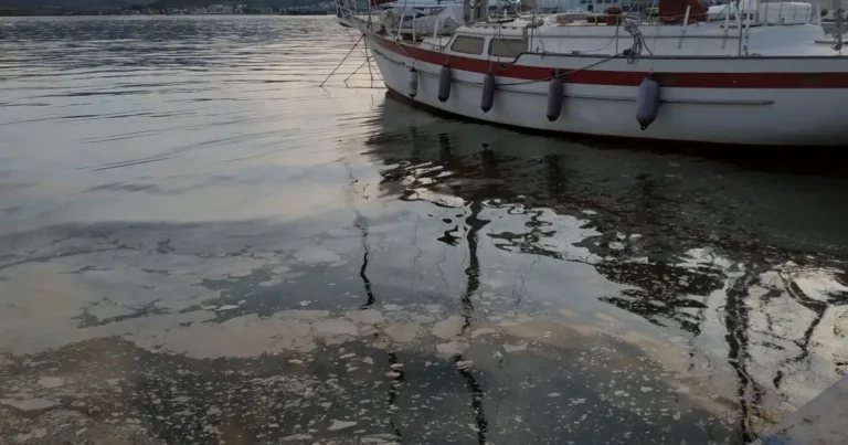 Έκθεση του ΕΛΚΕΘΕ για τα λύματα στο Λιμάνι: Επιβάρυνση από μικροβιακό φορτίο και βαρέα μέταλλα