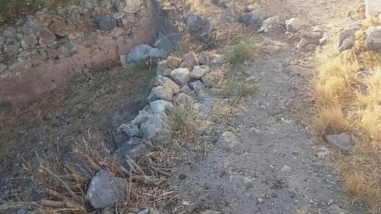 Χανιά: Βόλτα στις αρχαιότητες της Κυδωνίας με τις Πράσινες Πολιτιστικές Διαδρομές 2025