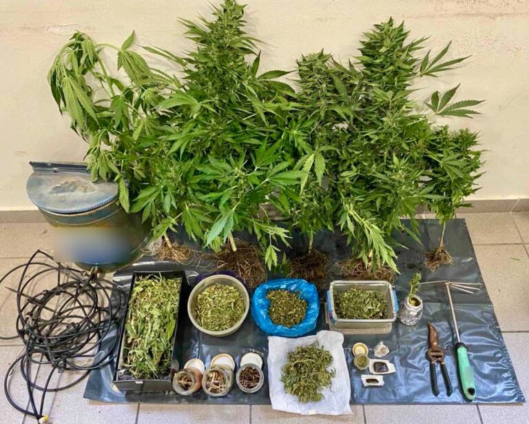 Σύλληψη στην Ερεσό για καλλιέργεια, κατοχή και διακίνηση ναρκωτικών