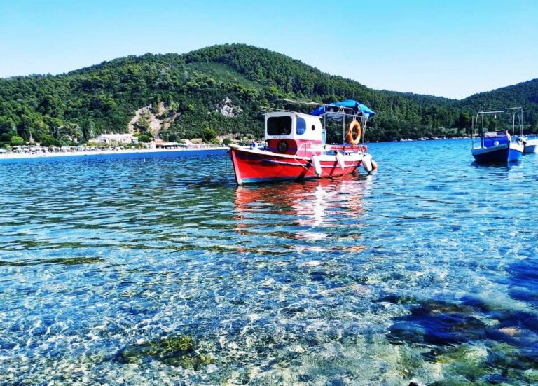 Σε απόγνωση οι αλιείς της Σκοπέλου με την εφαρμογή του μέτρου της ζύγισης – Γιατί αντιδρούν