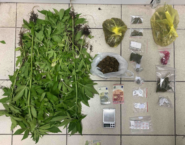 Πιερία: Χειροπέδες σε δύο για διακίνηση χασίς- Ο ένας καλλιεργούσε σαράντα πέντε δενδρύλλια κάνναβης