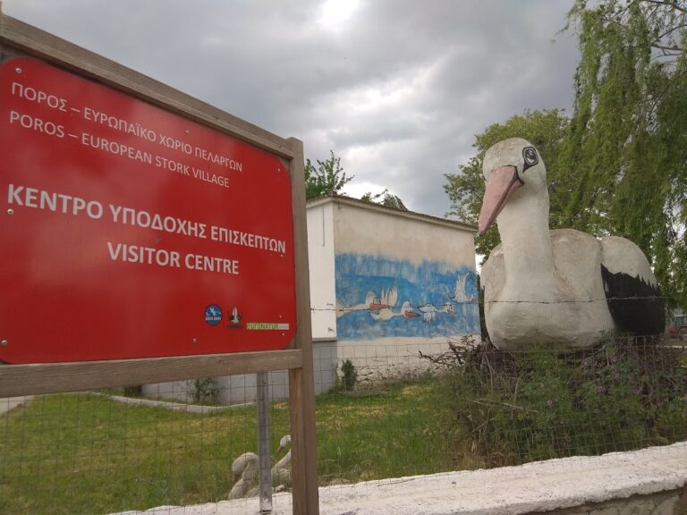 Αλεξανδρούπολη: Πελαργοί-παιδιά-φύση στο 8ο Φεστιβάλ Πελαργών Πόρου που «άνοιξε τα φτερά του»
