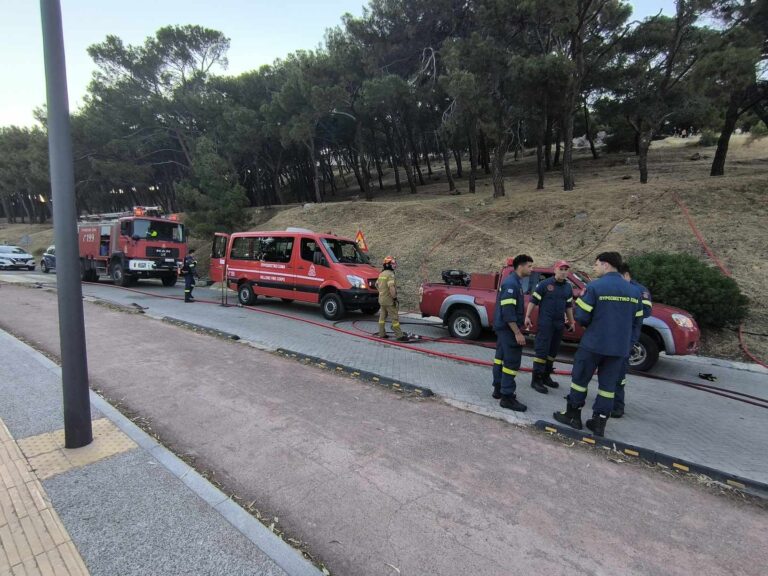 Λέσβος: Πυρκαγιά σε αλσύλλιο στα Τσαμάκια κινητοποίησε την Πυροσβεστική