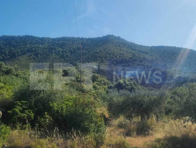 Χωρίς ενεργό μέτωπο η πυρκαγιά στα Μέθανα – Εκδηλώθηκε από τρεις εστίες  (βίντεο)