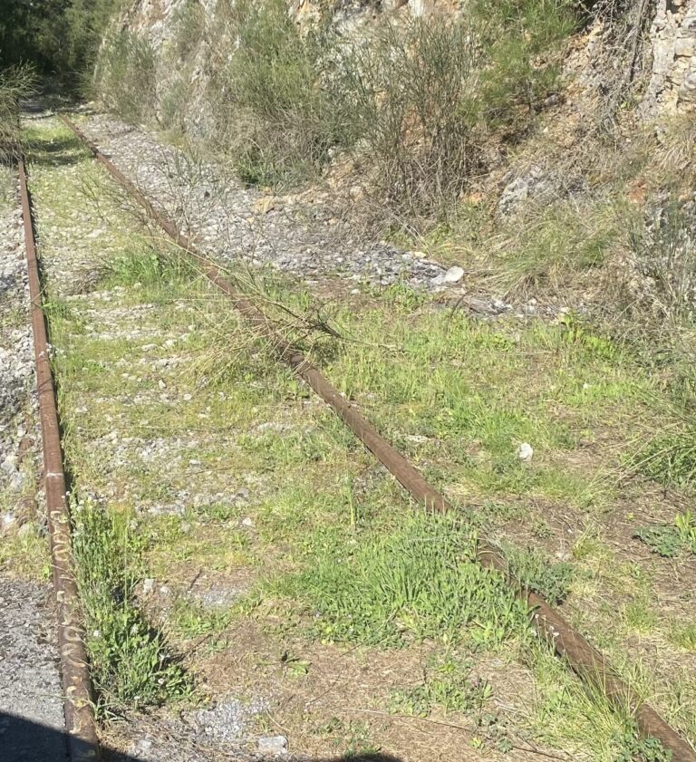 Μεγαλόπολη: “Τρένο ξανά, συνάντηση στο Ρούτσι”