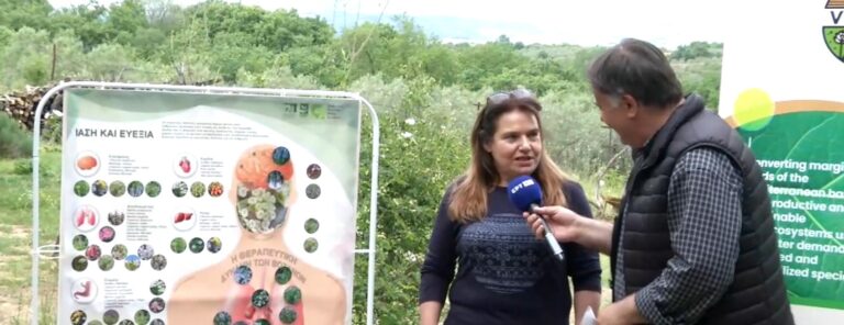 Κρηνίδα Σερρών: Το “Σπίτι του Τσαγιού” γιόρτασε την Διεθνή Ημέρα Τσαγιού