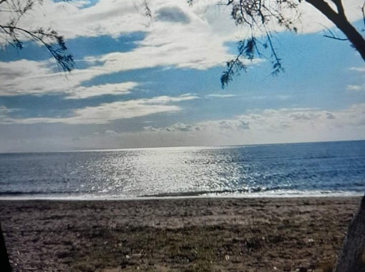 Αντιδράσεις για τον μηχανικό καθαρισμό της παραλίας των Βατερών