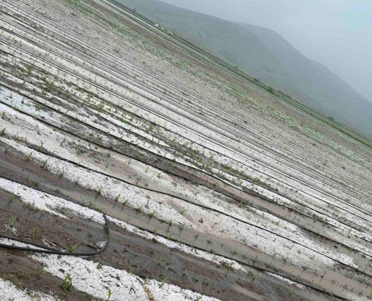 Πρέσπα: Χαλάζι έπληξε την περιοχή