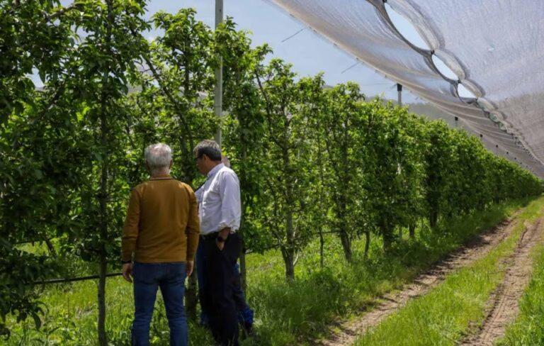 Καστοριά: Επισκέψεις στις περιοχές που επλήγησαν από χαλάζι